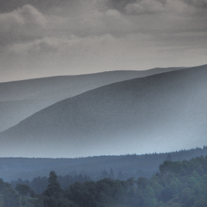 AI Chatbots for Automotive Businesses