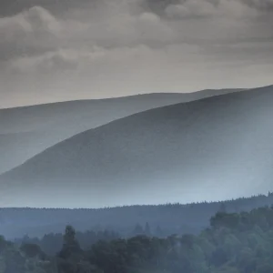 AI Chatbots for Automotive Businesses