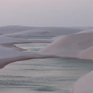 AI Chatbots for Education Platforms