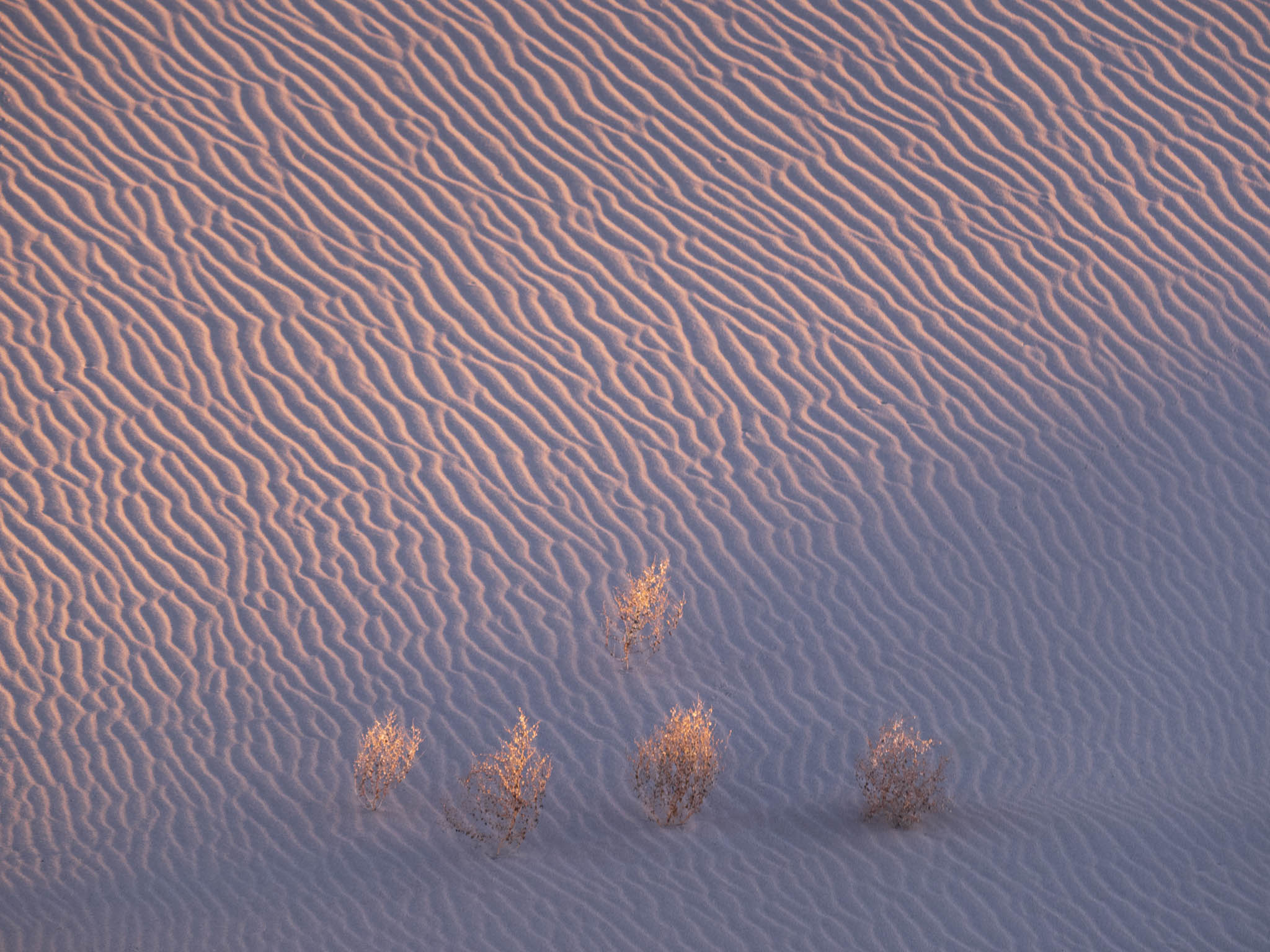 Form Builder_Popup Builder