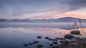 Quiet misty lake nature cover for lead qualification chatbot scripts