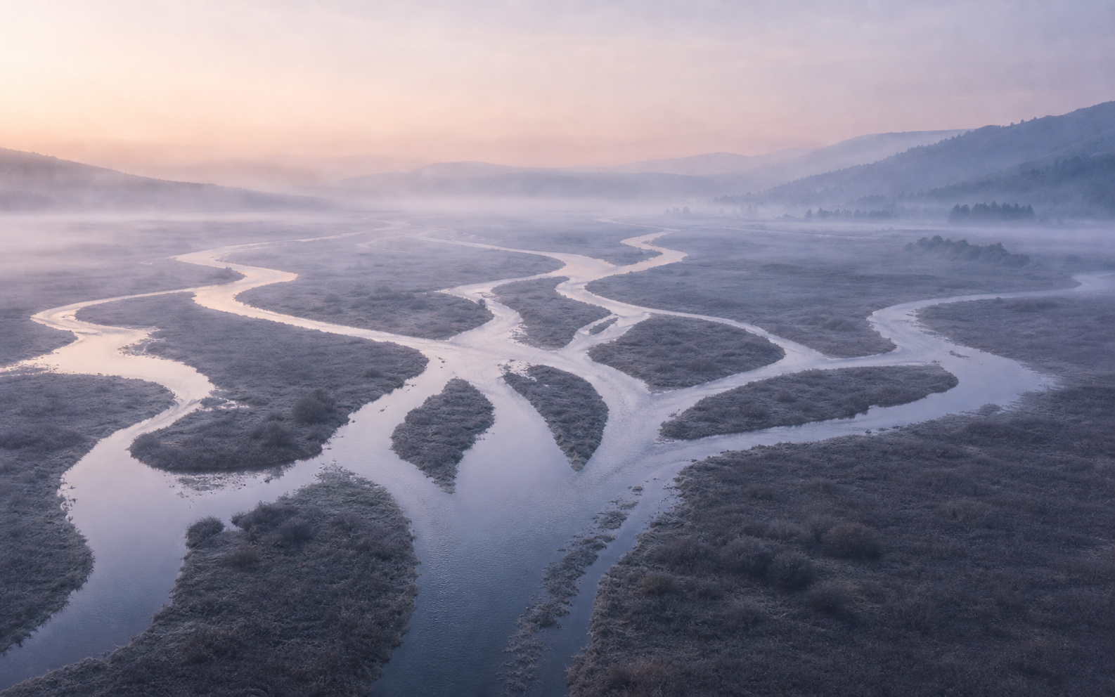 Misty branching river cover for website lead routing by visitor intent